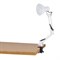 Настольная лампа-светильник SONNEN TL-006, струбцина, 40 Вт, Е27, белый, высота 50 см, 237649 - фото 15117544