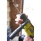Ударная дрель Ryobi RPD800K - фото 15133681