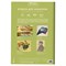 Папка для акварели А4, 10 л., 200 г/м2, 210х297 мм, BRAUBERG АКАДЕМИЯ, "Апельсины", 117743 - фото 15180486