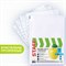 Папки-файлы перфорированные, А4, STAFF "STANDARD", КОМПЛЕКТ 100 шт., гладкие, "Яблоко", 30 мкм, 224917 - фото 15199398