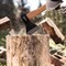 Кованый топор Sparta 131105 - фото 15656885
