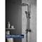 Душевая система SHIMIZU BlackTropic - фото 15701520