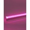 Светодиодный линейный светильник для растений GLANZEN RPD-0600-10-fito - фото 15722832