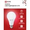 Светодиодная лампа IN HOME LED-A70-VC - фото 15764440