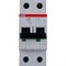 Двухполюсный автоматический выключатель ABB S202 - фото 15767118