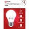 Светодиодная лампа IN HOME LED-ШАР-VC - фото 15780457