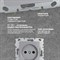 Розетка Metronex Silver - фото 15804312