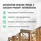 Универсальный пропитка против грибка и плесени PROSEPT АНТИПЛЕСЕНЬ - фото 15806445