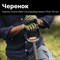 Штыковая телескопическая закругленная лопата FISKARS 1066732 - фото 15833093