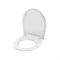Сидение для унитаза РемоКолор 61-0-052 - фото 15869235