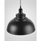 Подвесной светильник Мелодия Света PS3479-1 BK - фото 15874428