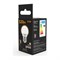 Светодиодная лампа GAUSS LED Globe E27, 6.5W, 100-240 В, 2700K - фото 15880643