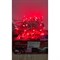 Светодиодная гирлянда GLQ GLQ -101T-5M-48-R - фото 16001009