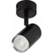 Настеннопотолочный светильник спот ЭРА OL35 BK - фото 16074510