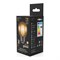 Лампа GAUSS LED Filament Шар - фото 16106827