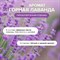Антибактериальное средство для мытья пола и поверхностей Synergetic 101510 - фото 16242629