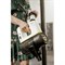Пылесос Karcher VC 6 Cordless ourFamily Pet - фото 16257139