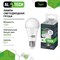Лампочка светодиодная ALTECH LED Р60-12W-840-E27 - фото 16303583