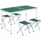 Набор мебели для пикника Green Glade M790-3 - фото 16317643