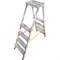 Алюминиевая стремянка Эйфель Мастер - фото 16449769