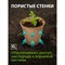 Торфяной горшочек для рассады Без бренда 64365 - фото 16470799