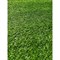 Искусственный газон Prettie grass BH-20 - фото 16501915