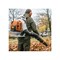 Воздуходувное устройство Stihl BR 800 С-Е - фото 16545783
