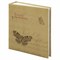 Фотоальбом BRAUBERG "Бабочка, крафт" на 200 фото 10х15 см, твердая обложка, термосварка, 391164 - фото 16565614