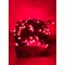 Светодиодная гирлянда GLQ GLQ -102R-10M-100-R - фото 16601008