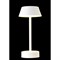 Настольная лампа Crystal lux SANTA LG1 WHITE - фото 16745798