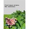 Аэрозоль для защиты территории от комаров Раптор A1644 - фото 16764045