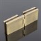 Петля стекло-стекло SERVICE PLUS P03-100BRZ/brass - фото 16807093