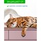 Акриловая краска для мебели и декора Farbitex PROFI EasyDekor - фото 16888613