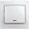 Одноклавишный выключатель INTRO Plano - фото 16909481