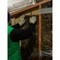 Утеплитель кровля/стена Knauf Insulation 751541 - фото 16913244