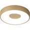 Потолочный светильник MANTRA coin - фото 16926497