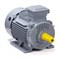 Общепромышленный электродвигатель ESQ PR 100 S2 GST-Б1-S12-IE2 - фото 16928255