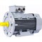 Общепромышленный электродвигатель ESQ PR 90 L6 GST-Б1-S12-IE2 - фото 16955345