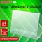 Подставка настольная для рекламных материалов ГОРИЗОНТАЛЬНАЯ (297х210 мм), А4, односторонняя, STAFF, 291396 - фото 16959634