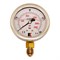 Радиальный глицериновый гидравлический виброустойчивый манометр АРКАИМ WKP1007 - фото 16996258
