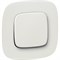 Клавиша для 1-клавишного выключателя Legrand Valena Allure - фото 17052379