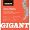 Реагент Gigant Двойной Контроль - фото 17228163