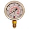 Радиальный глицериновый гидравлический виброустойчивый манометр АРКАИМ WKP1007 - фото 17234063