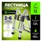 Телескопическая стремянка лестница ПОЛЕСАД 21837 - фото 17243621