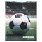 Дневник 1-4 класс 48 л., твердый, ЮНЛАНДИЯ, глянцевая ламинация, с подсказом, "Футбол", 107583 - фото 17307644