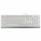 Клавиатура проводная A4TECH Fstyler FK10, USB, 104 кнопки, белая, 1147536 - фото 17323824