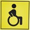 Табличка Контур Лайн Инвалид - фото 17353766