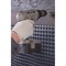 Профилированная мембрана ТехноНиколь PLANTER standard - фото 17418310