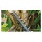 Кусторез Bosch UniversalHedgeCut 50 - фото 17431233