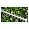 Кусторез Bosch UniversalHedgeCut 50 - фото 17431234